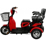 ESH-6112 ECO Three Wheel Electric Scooter